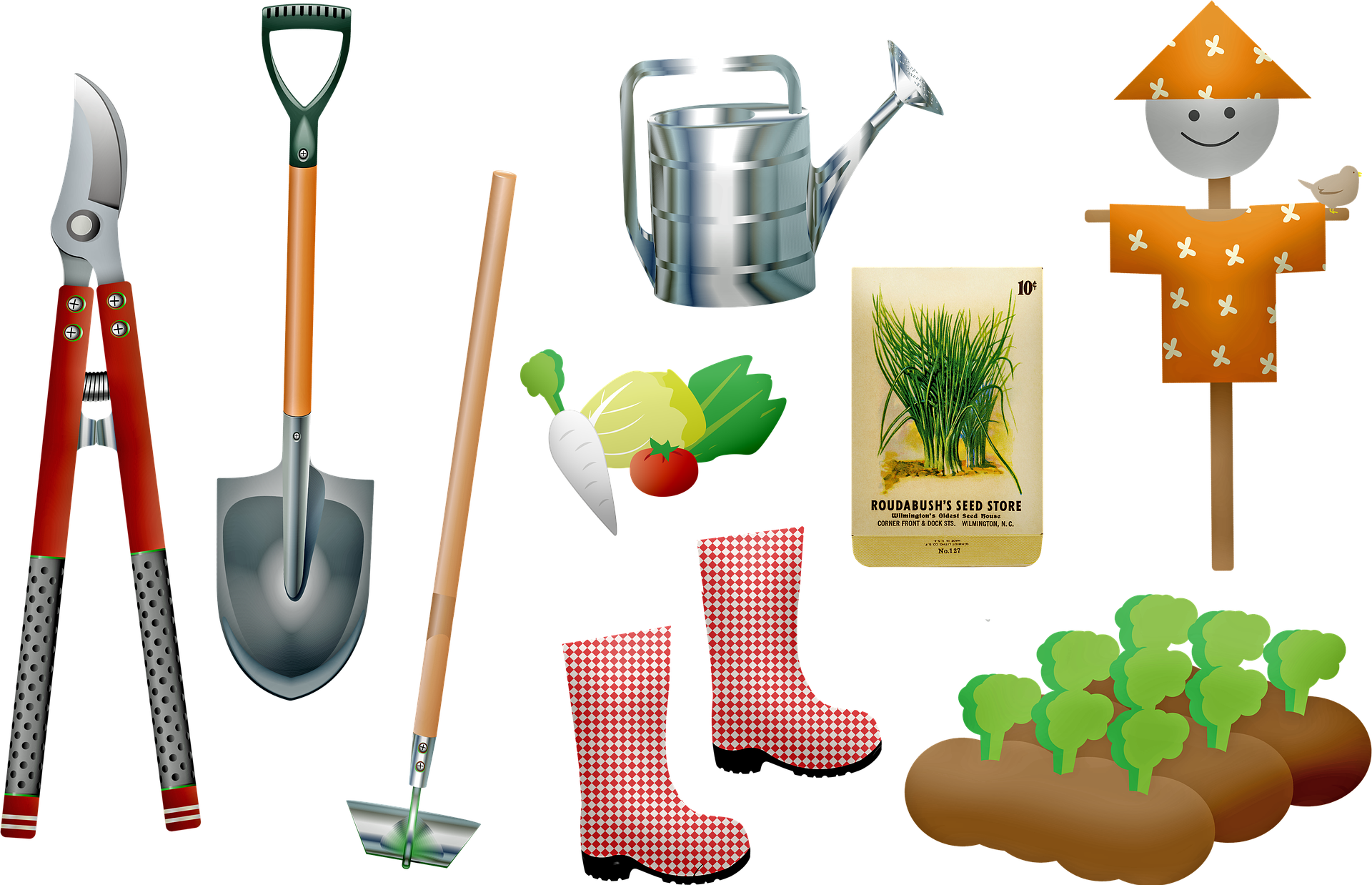 Outils de jardinage bien rangés