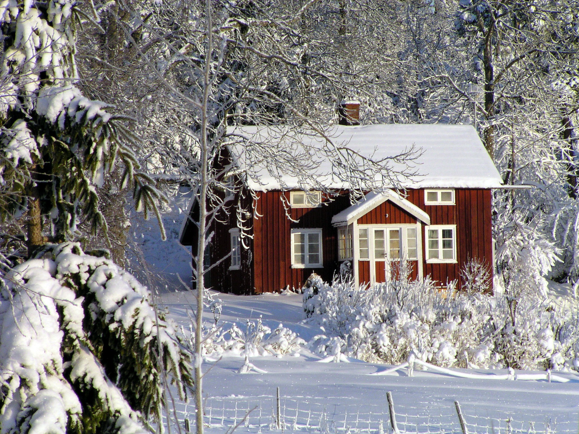 neige paysage suede