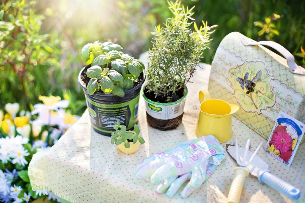 Quels outils de jardinage pour travailler sereinement !