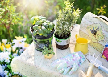 Quels outils de jardinage pour travailler sereinement !
